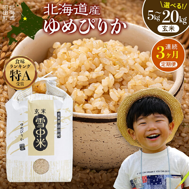 【ふるさと納税】【選べる容量】《2026年6月発送開始定期便》令和7年度産 春摺り 雪中米 ゆめぴりか 玄米 5kg 10kg 20kg 3か月連続定期便 定期...