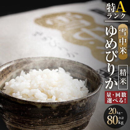 ＜容量・定期便回数・発送月が選べる＞ ＜先行予約＞ 令和6年産 ゆめぴりか 精米 1回あたり（5kg・10kg） 定期便（4ヶ月・8ヶ月） 雪冷気 籾貯蔵 北海道 北海道米 ブランド米 雪中米 特Aランク 米 お米 白米 ご飯 ごはん 【2024年10月より順次発送予定】