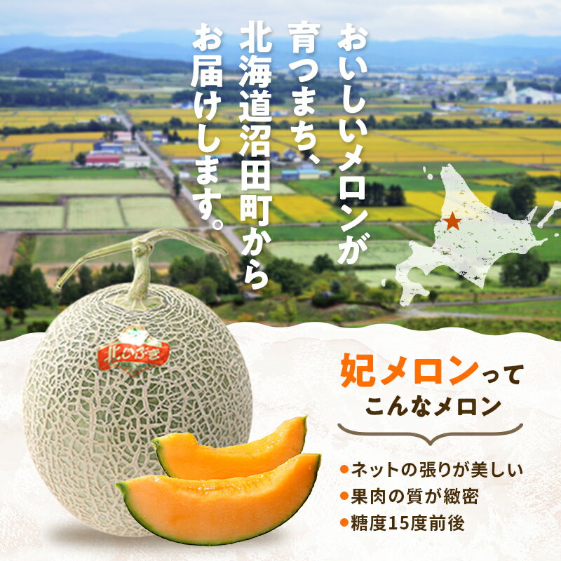 【ふるさと納税】【先行予約】令和8年産 妃メロン 赤肉 大玉 2玉（令和8年7月下旬～8月中旬発送予定） 北海道 n-0189
