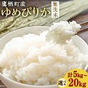 【ふるさと納税】【令和7年産】 ゆめぴりか (無洗米) 北海道 米 を代表する人気の品種【選べる 5kg×1袋 / 10kg×1袋 / 20kg(10kg×2袋...