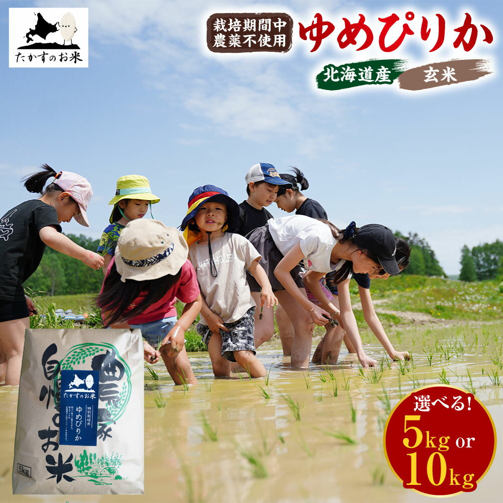 【ふるさと納税】【令和7年産】栽培期間中農薬不使用「ゆめぴりか」 （玄米） 【選べる 5kg×1袋 / 10kg×1袋】 北海道 鷹栖町 たかすのお米 米 コメ こめ ご飯 玄米 お米 ゆめぴりか コメ 送料無料 【2025年10月下旬発送開始】
