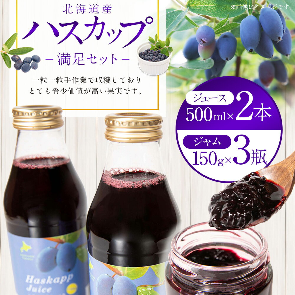 【ふるさと納税】ハスカップ 満足セット ハスカップ ジュース 500ml×2本 ハスカップ ジャム 150g×3瓶 北海道 鷹栖町 ハスカップ ジャム ハスカップ ジュース