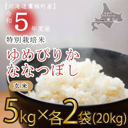 令和5年産たかすタロファーム（ゆめぴりかとななつぼしのセット玄米・各10kg）