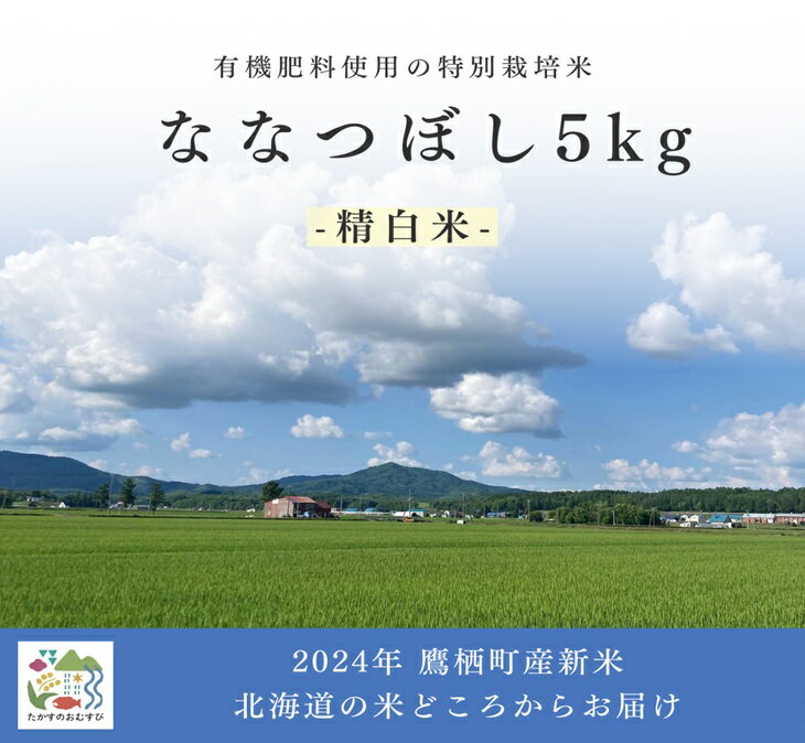 【ふるさと納税】【令和6年産】ななつぼし（精白米）特Aランク 5kg 北海道 鷹栖町 たかすのおむすび 米 コメ ご飯 精 白米 お米 ななつぼし