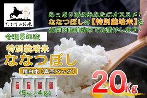 【ふるさと納税】【 令和7年産 】 ななつぼし ( 精 白米 )北海道 米 定番の品種 真空パック 5kg×4袋 20kg 北海道 鷹栖町 たかすのお米 米 コメ こめ ご飯 白米 お米 ななつぼし コメ 白米
