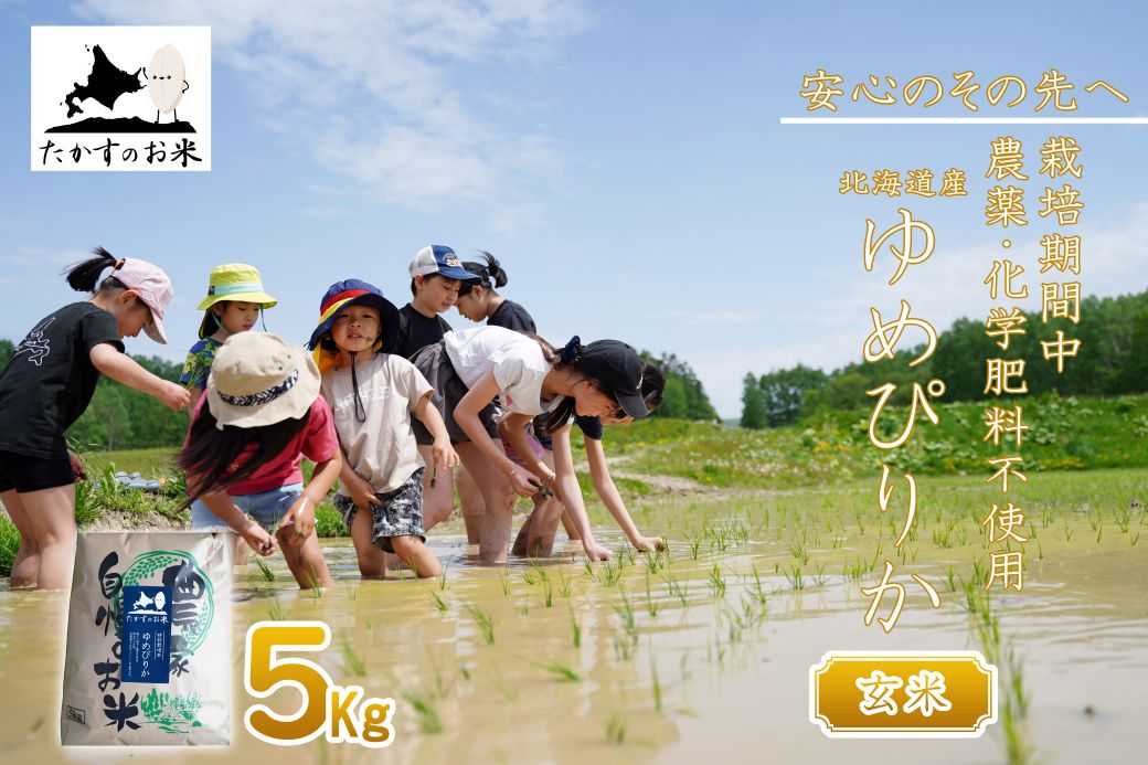 【ふるさと納税】【 令和7年産 】 栽培期間中農薬不使用 ゆめぴりか ( 玄米 ) 5kg 北海道 鷹栖町 たかすのお米 米 コメ こめ ご飯 玄米 お米 ゆめ...