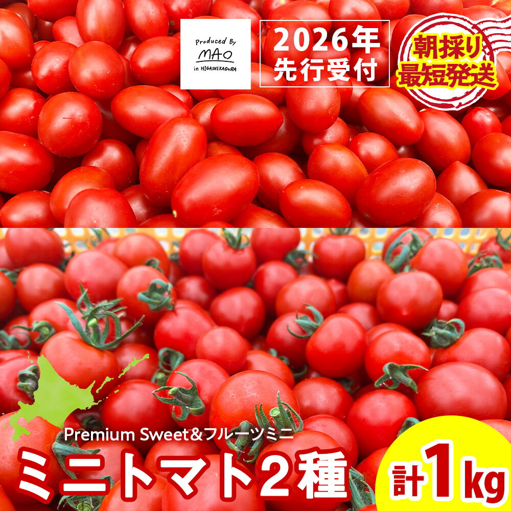 【ふるさと納税】【2026年先行予約】朝採りPremium Sweet &フルーツミニ 計1kgミニトマト 朝採り 新鮮 生鮮 野菜 トマト ふるさと納税 北海...