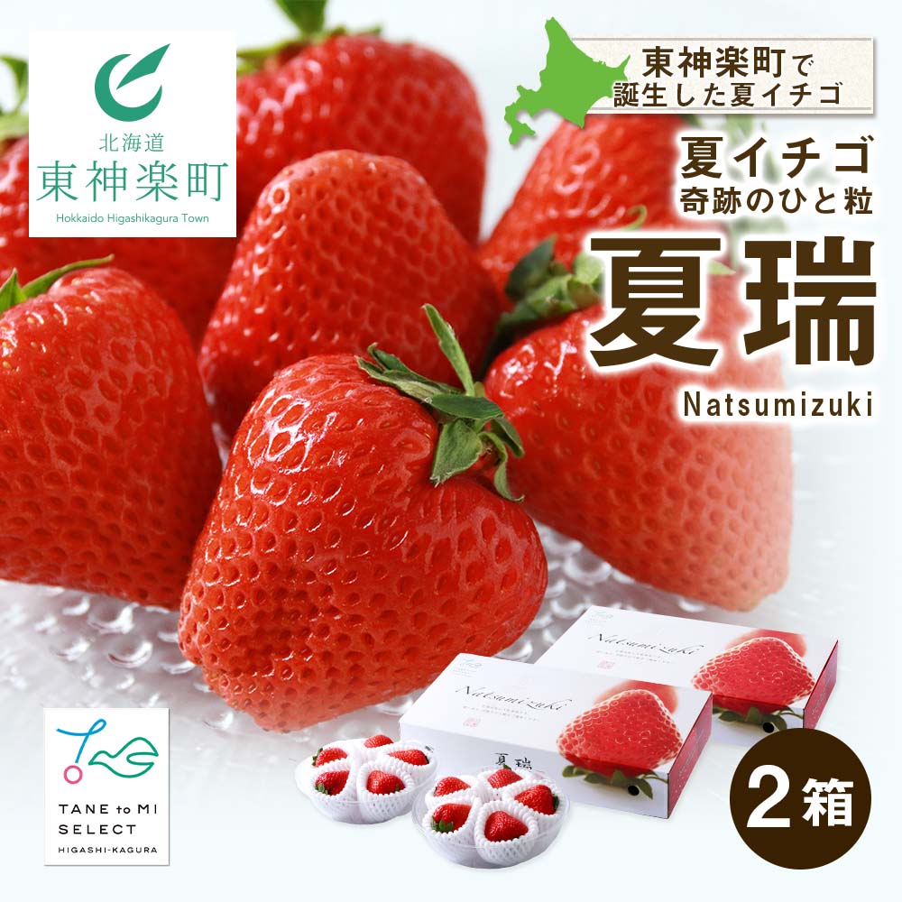 24位! 口コミ数「0件」評価「0」2024年 先行予約☆【夏イチゴ】奇跡のひと粒「夏瑞」4パックセット東神楽ふるさと納税 北海道ふるさと納税 イチゴ 東神楽産いちご【E101･･･ 