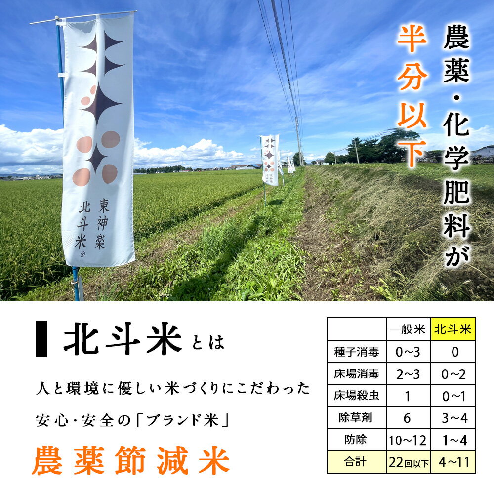【ふるさと納税】【令和7年産・新米】北斗米あやひめ 選べる5kg〜30kgふるさと納税 お米 ふるさと納税 北海道米 北海道産お米 東神楽 ふるさと納税米 お米 道産米 人気ブランド 米 こめ 夏ギフト