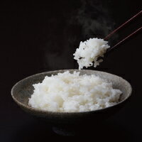 【ふるさと納税】特Aななつぼし（無洗米）5kg
