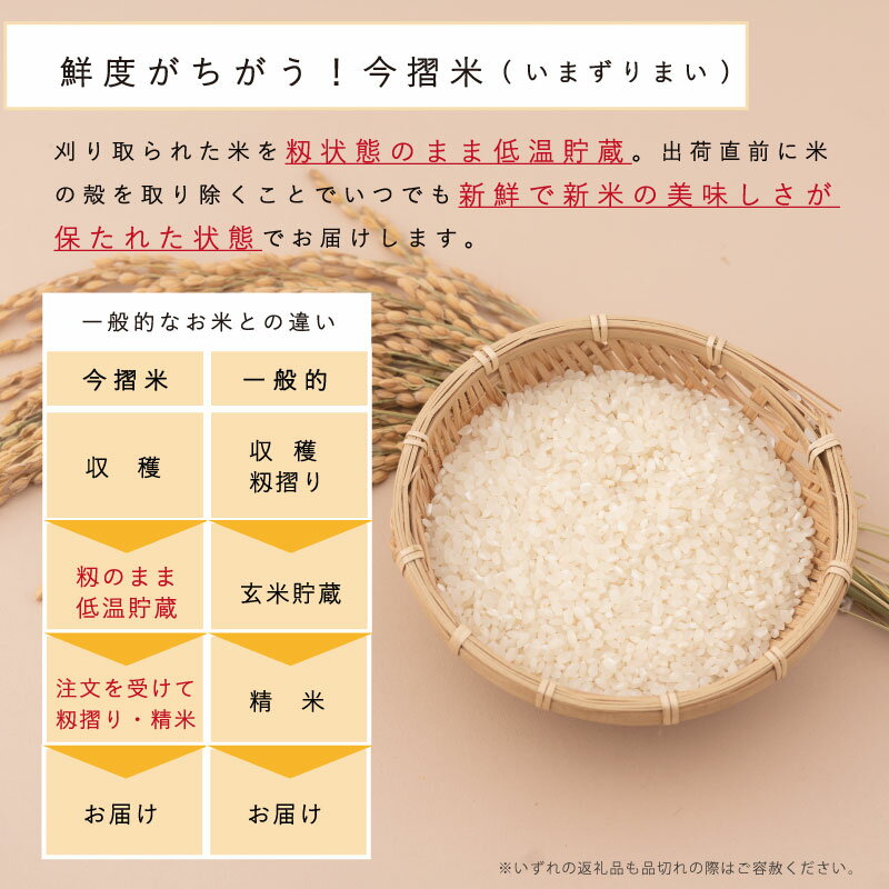 【ふるさと納税】令和4年産 新米 無洗米 5kg ブランド米 籾貯蔵今摺米 きたくりん 北海道米 北海道 定期便アリ 米 furusato nouzei