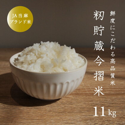 令和5年産 米 11kg ブランド米 籾貯蔵今摺米きたくりん 米 北海道米 北海道 定期便アリ 10kg以上 当麻町 送料無料