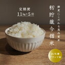 【ふるさと納税】≪定期便5ヶ月≫ 米 11kg×5回 計 5