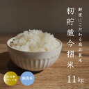 【ふるさと納税】令和5年産 無洗米 11kg 令和5年産 む