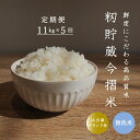 【ふるさと納税】≪定期便5ヶ月≫ 無洗米 11kg×5回 計 55kg ブランド米 籾貯蔵今摺米 きたくりん 北海道米 北海道 当麻町 10kg 以上 30kg 以上 米 送料無料