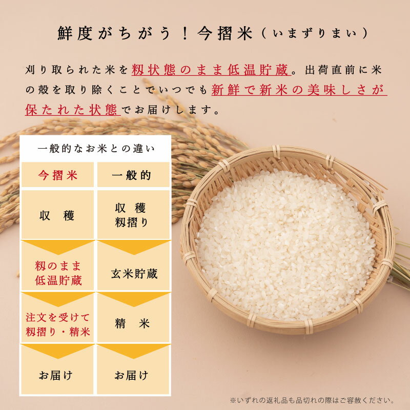 【ふるさと納税】令和5年産 無洗米 5kg ブランド米 令和5年産 むせんまい 籾貯蔵今摺米 きたくりん 北海道米 北海道 当麻町 定期便アリ 米 送料無料