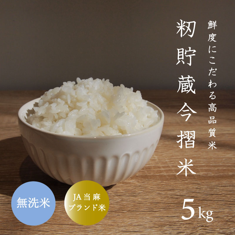 楽天北海道当麻町【ふるさと納税】※先行予約※令和6年産 無洗米 5kg ブランド米 令和6年産 むせんまい 籾貯蔵今摺米 きたくりん 北海道米 北海道 当麻町 定期便アリ 米 送料無料