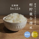 【ふるさと納税】≪定期便12ヶ月≫ 無洗米 5kg×12回 