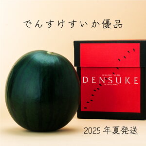 【ふるさと納税】でんすけすいか 優品 ※2025年夏発送※ でんすけ 高級すいか 北海道 当麻町 すいか スイカ デンスケスイカ 送料無料 産地直送 お取り寄せ