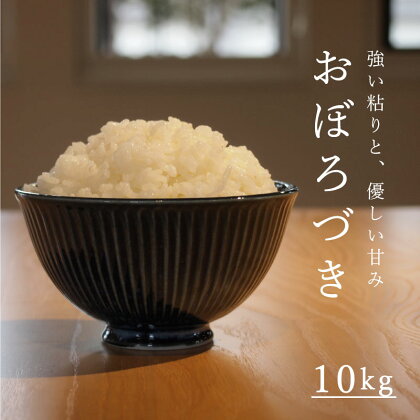 令和5年産 北海道 おぼろづき 10kg 定期便アリ 米 10kg以上 当麻町 長谷川農園 北海道米 精米 送料無料