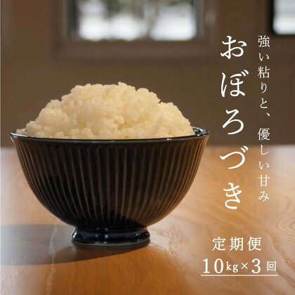 ≪定期便3ヶ月≫ おぼろづき 10kg×3回 計 30kg 米 精米 北海道米 北海道産 10kg 当麻町 北海道 長谷川農園 30kg以上 定期便 定期 送料無料 お取り寄せ