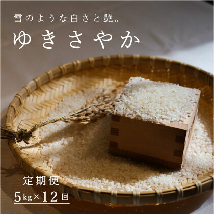 ≪定期便12ヶ月≫ ゆきさやか 5kg×12回 60kg 以上 北海道米 北海道産 米 精米 当麻町 長谷川農園 北海道 定期便 定期 送料無料 お取り寄せ