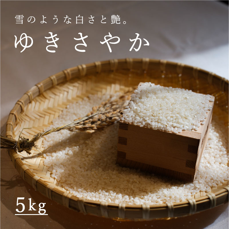 【ふるさと納税】令和5年産 ゆきさやか 5kg 定期便アリ 5kg以上 米 当麻町 長谷川農園 北海道 北海道...