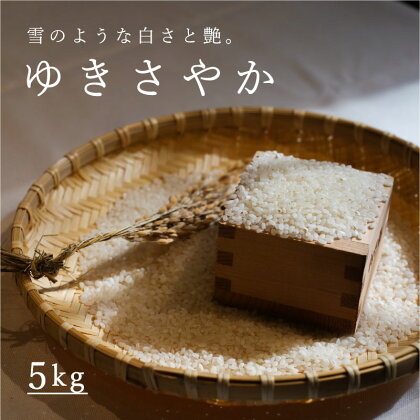 令和5年産 ゆきさやか 5kg 定期便アリ 5kg以上 米 当麻町 長谷川農園 北海道 北海道米 送料無料