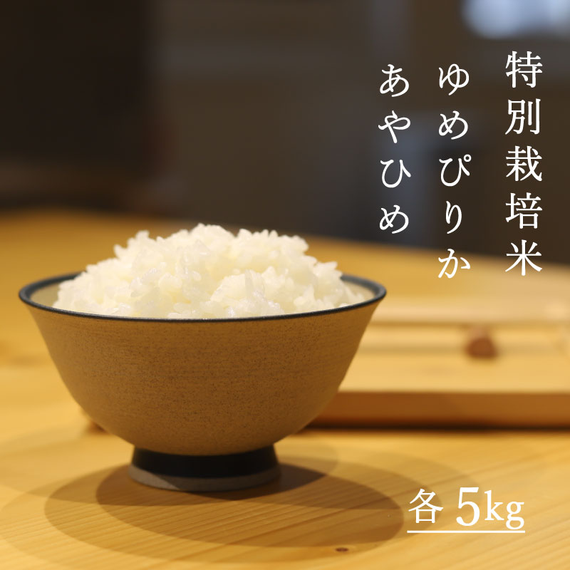 特別栽培米 10kg ゆめぴりか あやひめ 米 食べ比べ 5kg 2種類 北海道 当麻町 お米 精米 お取り寄せ グルメ 送料無料