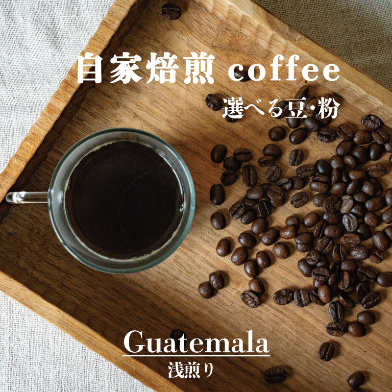 グアテマラ浅煎り /コーヒー 豆・粉 選べる 90g/ 選べる内容量 1袋 3袋/ 自家焙煎 コーヒー 珈琲 コーヒー豆 シングル グアテマラ珈琲豆 /2500円〜 送料無料 お取り寄せ