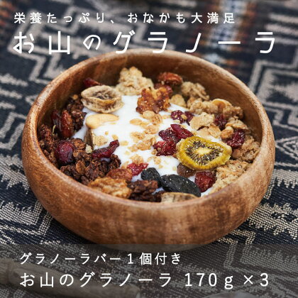 グラノーラ 手作り 自家製 KOO’S GARDEN お山のグラノーラ 保存料不使用 着色料不使用 無添加 焼き菓子 北海道 当麻町 朝食 お菓子 お取り寄せ 登山 アウトドア ガイド スポーツ キャンプ グルメ 送料無料 クーズガーデン