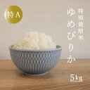 【ふるさと納税】 令和5年産 特別栽培米 ゆめぴりか 5kg 減農薬 低農薬 当麻町 特A米 特A 米 こめ 舟山農産 北海道産 北海道米 送料無料 お取り寄せ