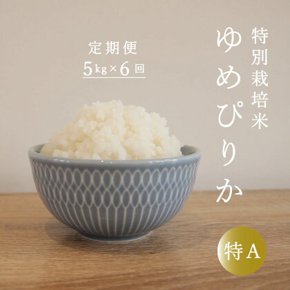 ≪定期便6ヶ月≫ 特別栽培米 ゆめぴりか 5kg×6回 減農薬 低農薬 特A米 特A こめ 精米 米 当麻町 北海道 舟山農産 北海道産 北海道米 定期便 定期 送料無料 お取り寄せ