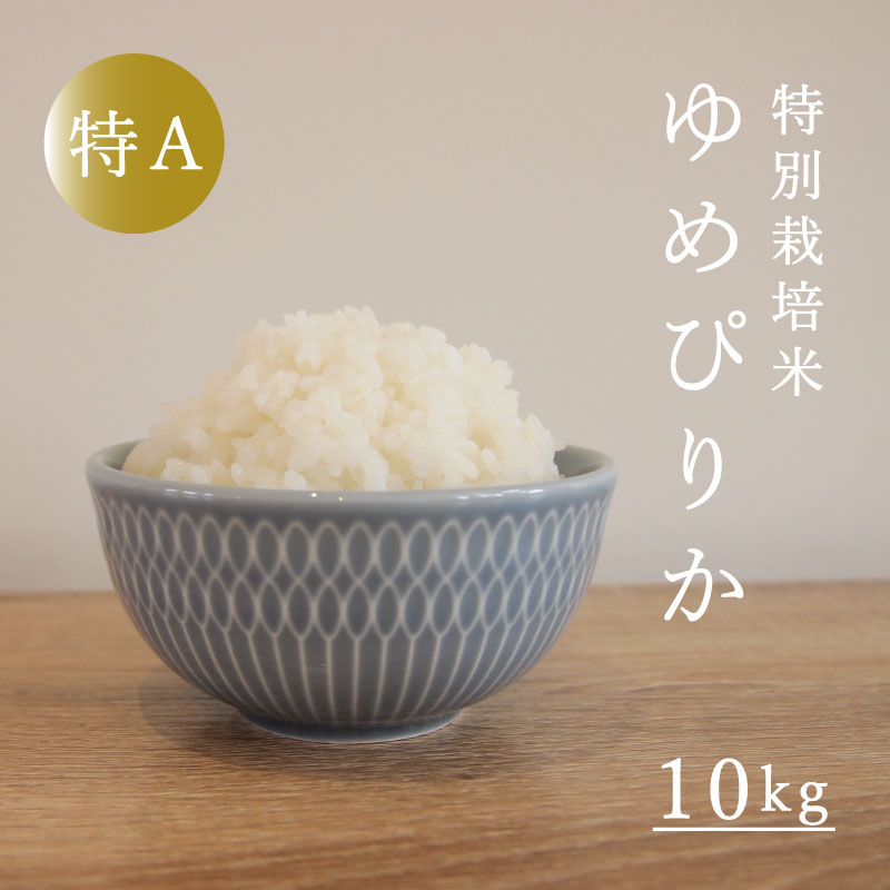 【ふるさと納税】令和5年産 ゆめぴりか 特別栽培米 10kg 減農薬 低農薬 10キロ 特A米 特A こめ 米 精米 当麻町 舟山農産 北海道産 北海道米 送料無料 お取り寄せ