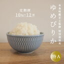 【ふるさと納税】 ≪定期便12ヶ月≫ ゆめぴりか 特別栽培米 10kg×12回 減農薬 低農薬 特A米 特A 当麻町 北海道 こめ 米 精米 舟山農産 北海道産 北海道米 定期便 定期 送料無料 お取り寄せ