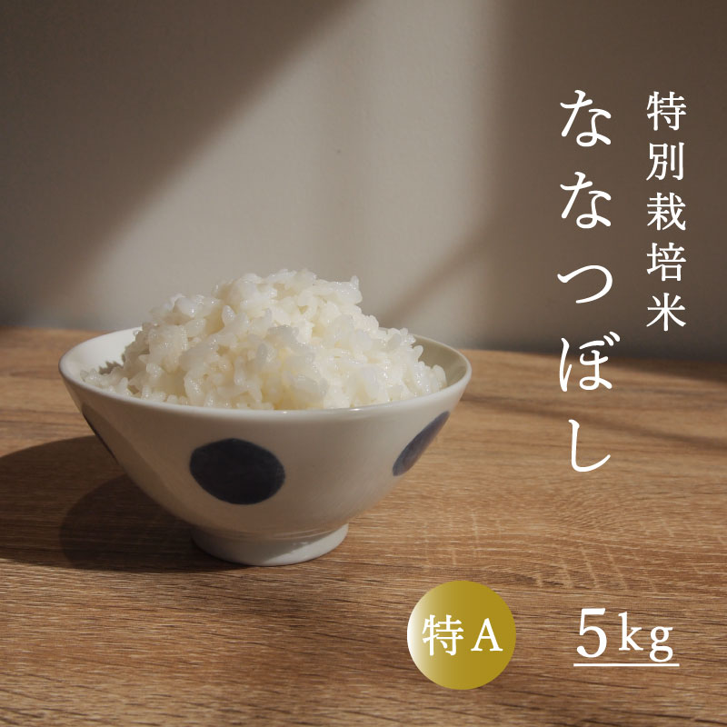 【ふるさと納税】 ななつぼし 5kg 特A 特別栽培米 減農薬 低農薬 当麻町 北海道 特A米 特A こめ 米 舟山農産 北海道産 北海道米 定期便 定期 送料無料 お取り寄せ