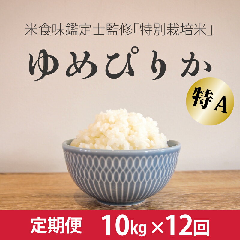【ふるさと納税】※令和7年産先行受付※ ≪定期便12ヶ月≫ ゆめぴりか 特別栽培米 10kg×12回 減農薬 低農薬 特A米 特A 当麻町 北海道 こめ 米 精米 舟山農産 北海道産 北海道米 定期便 定期 送料無料 お取り寄せのサムネイル