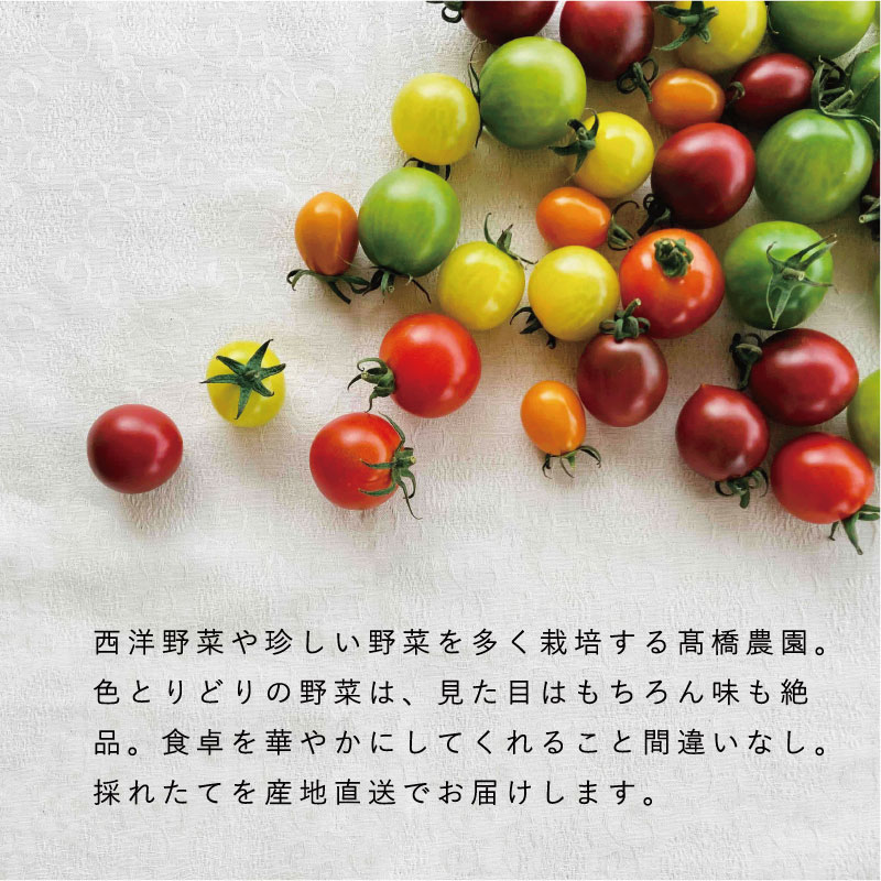 【ふるさと納税】 先行受付 2024年産 野菜セット 定期便 2回 2024年産予約 ハタケノギフト 2回コース 野菜 産地直送 西洋野菜 食用花 ハーブ 野菜詰め合わせ 採れたて 新鮮 旬 おまかせ 直送 お取り寄せ 送料無料 北海道 当麻町 数量限定