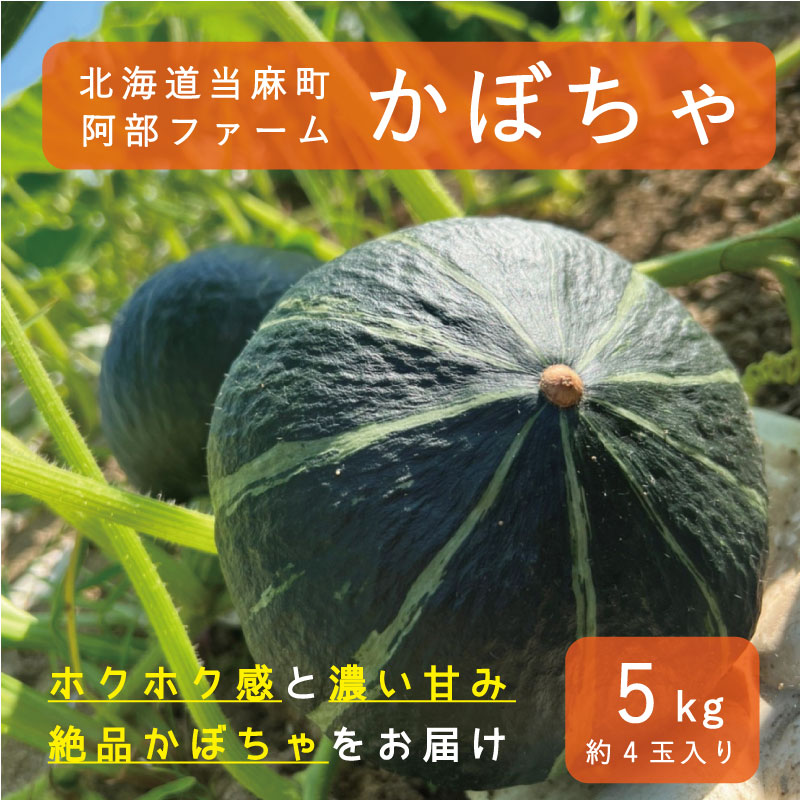 野菜・きのこ(かぼちゃ)人気ランク5位　口コミ数「2件」評価「4.5」「【ふるさと納税】【2024年産予約】 かぼちゃ 北海道 5kg 甘い ホクホク 当麻町 阿部ファーム ダークホース カボチャ 南瓜 野菜 お取り寄せ 送料無料 8000円」