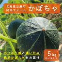 18位! 口コミ数「2件」評価「4.5」【2024年産予約】 かぼちゃ 北海道 5kg 甘い ホクホク 当麻町 阿部ファーム ダークホース カボチャ 南瓜 野菜 お取り寄せ 送料無･･･ 