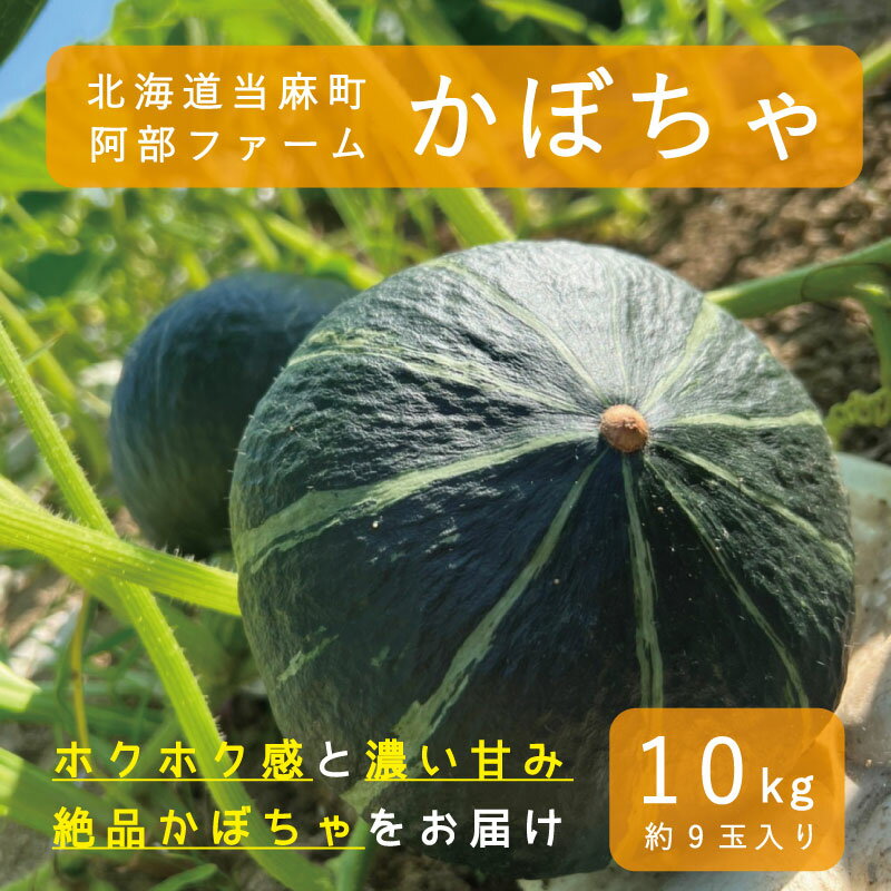 野菜・きのこ(かぼちゃ)人気ランク9位　口コミ数「1件」評価「5」「【ふるさと納税】【2024年産予約】かぼちゃ 北海道 10kg 甘い ホクホク 当麻町 阿部ファーム ダークホース カボチャ 南瓜 野菜 お取り寄せ 送料無料」