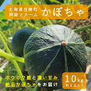 【ふるさと納税】【2024年産予約】かぼちゃ 北海道 10kg 甘い ホクホク 当麻町 阿部ファーム ダークホース カボチャ 南瓜 野菜 お取り..