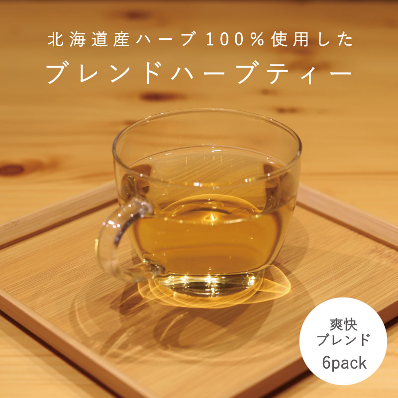 ハーブティー 爽快ブレンド 1袋 6パック入り 北海道産 ハーブ ミント ミントティー 北海道 当麻町 送料無料 3000円 以下 清涼感 爽やか お取り寄せ 3000円以下 4000円以下 5000円以下