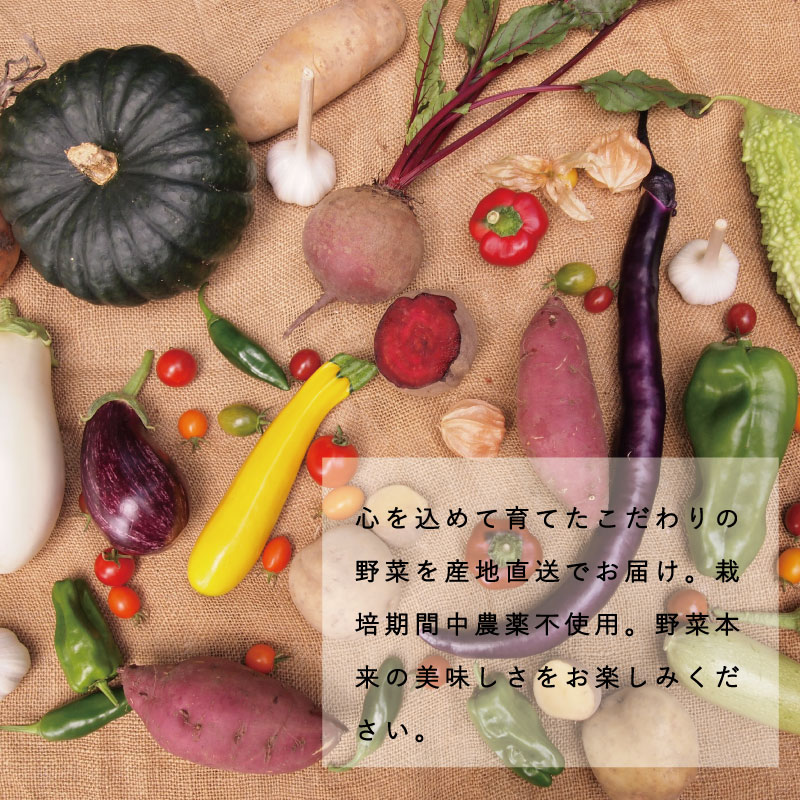 【ふるさと納税】 2024年予約 そうまファーム野菜セット 無農薬 無化学肥料 野菜詰め合わせ ぷちぷよ 白ナス とうもろこし にんにく ブルーベリー 玉ねぎ じゃがいも ビーツ ゴーヤ かぼちゃ 採れたて 新鮮 旬 相馬ファーム 数量限定 送料無料 北海道 当麻町 お取り寄せ