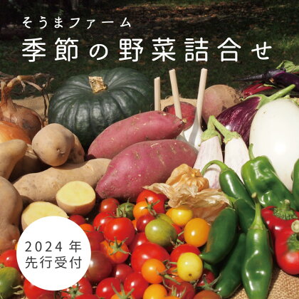 2024年予約 そうまファーム野菜セット 無農薬 無化学肥料 野菜詰め合わせ ぷちぷよ 白ナス とうもろこし にんにく ブルーベリー 玉ねぎ じゃがいも ビーツ ゴーヤ かぼちゃ 採れたて 新鮮 旬 相馬ファーム 数量限定 送料無料 北海道 当麻町 お取り寄せ