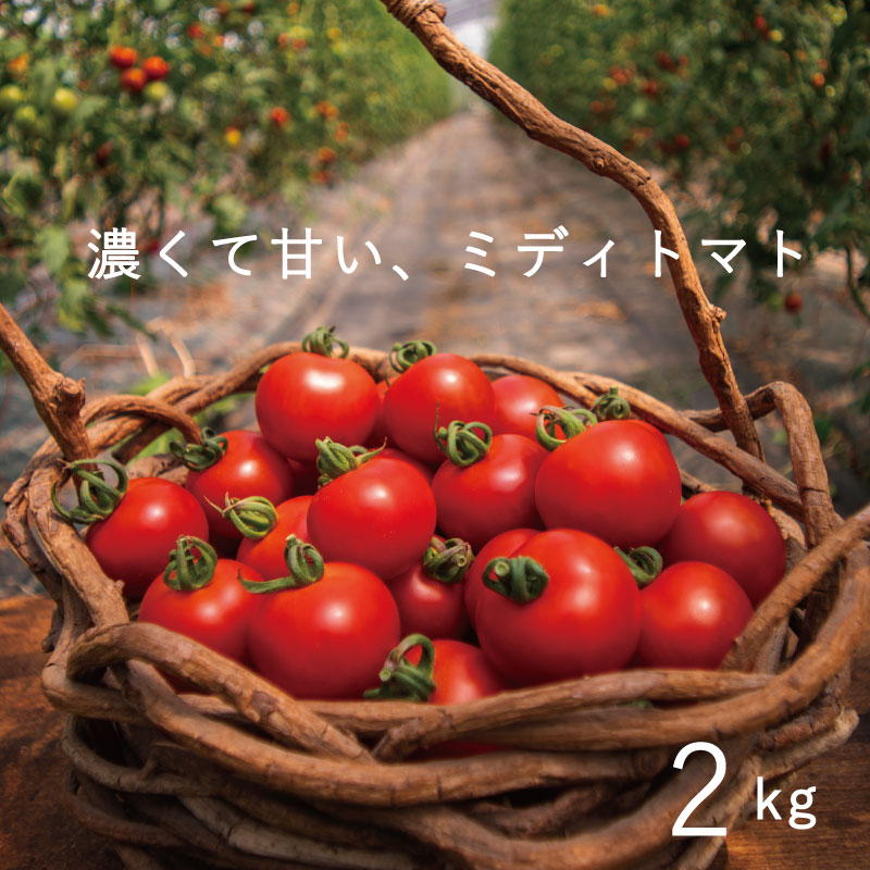 【ふるさと納税】 トマト 甘い 2024年産 予約 のんの畑北海道ミディトマト2kg 2kg 不耕起栽培 無化学農薬 無化学肥料 野菜 産地直送 北海道 当麻町 とまと おやつ お取り寄せ グルメ 送料無料