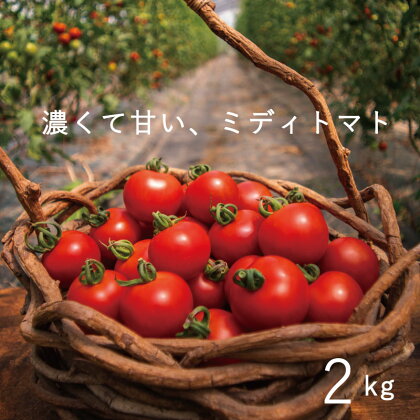 トマト 甘い 2024年産 予約 のんの畑北海道ミディトマト2kg 2kg 不耕起栽培 無化学農薬 無化学肥料 野菜 産地直送 北海道 当麻町 とまと おやつ お取り寄せ グルメ 送料無料