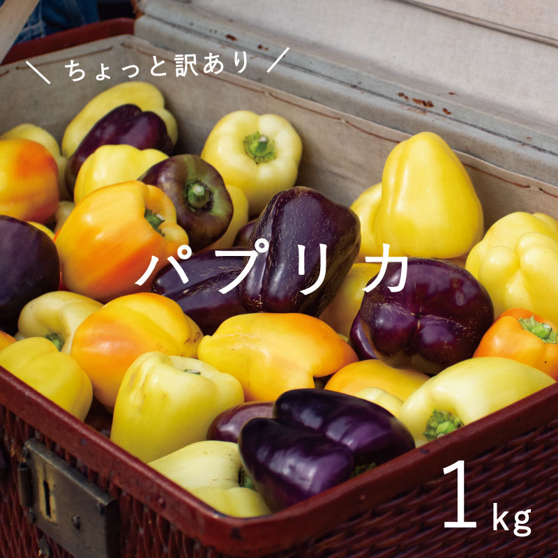 訳あり パプリカ 2024年産 予約 のんの畑北海道訳ありパプリカ1kg 1kg 甘い 肉厚 彩り 野菜 無化学農薬 無化学肥料 産地直送 肉詰め サラダ オーブン焼き ピクルス 北海道産 フードロス 国産 お取り寄せ グルメ 送料無料 6000円 以下