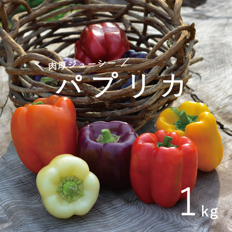 その他野菜(その他)人気ランク21位　口コミ数「1件」評価「5」「【ふるさと納税】 パプリカ 2024年産 予約 のんの畑北海道パプリカ1kg 1kg 甘い 肉厚 彩り 野菜 無化学農薬 無化学肥料 産地直送 肉詰め サラダ オーブン焼き ピクルス 北海道産 フードロス 国産 お取り寄せ グルメ 送料無料」