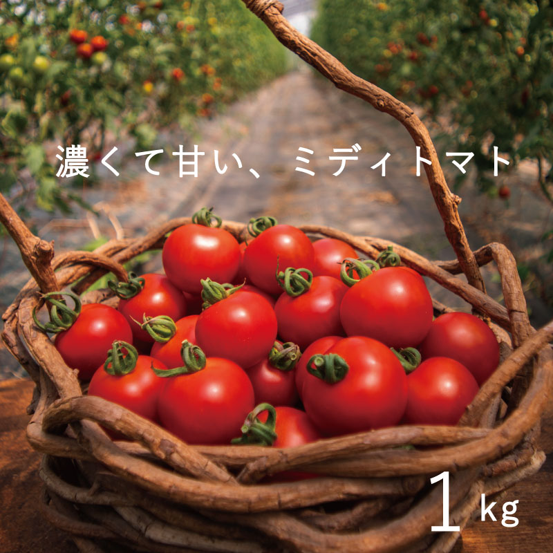 【ふるさと納税】 フルーツトマト 甘い 2024年産 予約 1kg 1kg のんの畑北海道 トマト ミディトマト 無化学農薬 無化学肥料 野菜 不耕起栽培 産地直送 北海道 当麻町 とまと 安心 安全 子供 おやつ お取り寄せ グルメ 送料無料